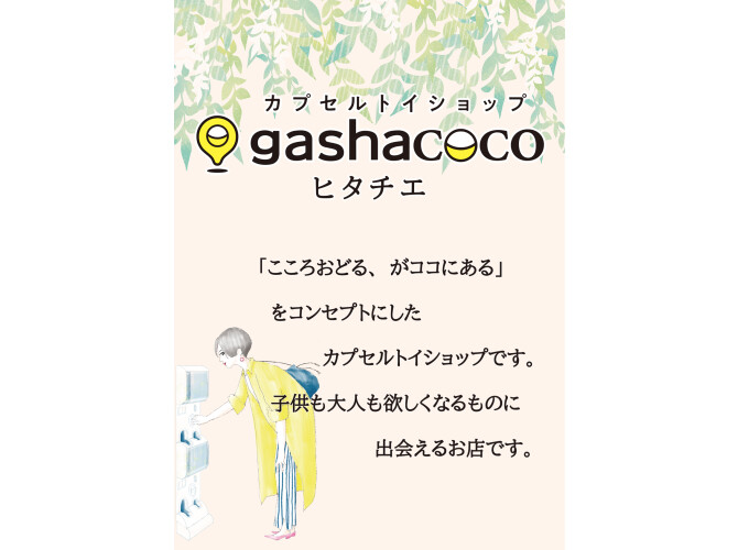 gashacoco ヒタチエ